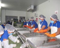 /album/galeria/img3-jpg/