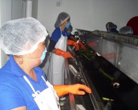 /album/galeria/img6-jpg/
