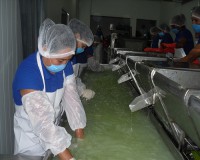 /album/galeria/img7-jpg/